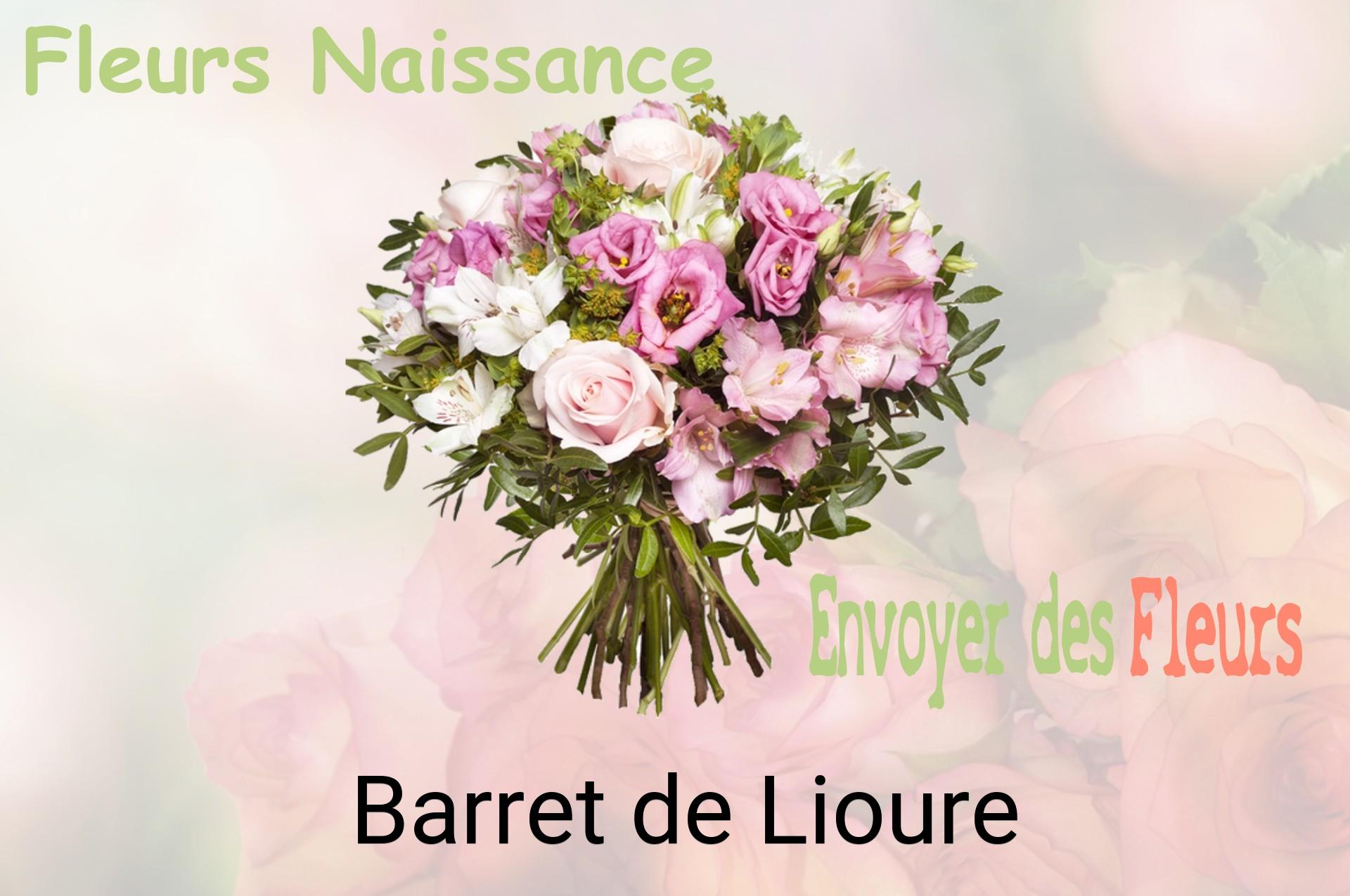 Bouquet de fleurs de naissance livré à Barret-de-Lioure